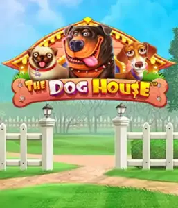 Pragmatic Play's The Dog House, bringing you an adorable journey among lovable dogs. Engage in features including sticky wilds, perfect for delivering joyful moments. A must-try for animal enthusiasts a lighthearted setting alongside lucrative rewards.