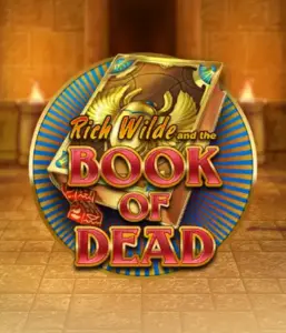 Dive into the thrilling world of Book of Dead by Play'n GO, presenting vivid graphics of Rich Wilde’s adventurous journey through ancient Egyptian tombs and artifacts. Uncover lost riches with captivating mechanics like free spins, expanding icons, and a gamble option. Ideal for adventure seekers with a desire for unearthing secrets.